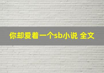 你却爱着一个sb小说 全文